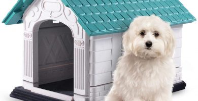 Nobleza - Caseta para Perros de Polipropileno Impermeable con tejado a Dos Aguas para Interior y Exterior. Blanco y Verde