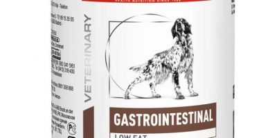 Royal Canin Alimento para Perros Gastro Intestinal Low Fat - 410 gr