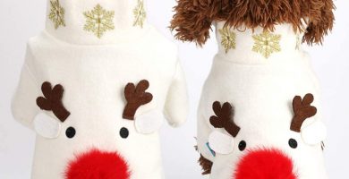 Disfraz De Navidad para tu Bichón Maltés
